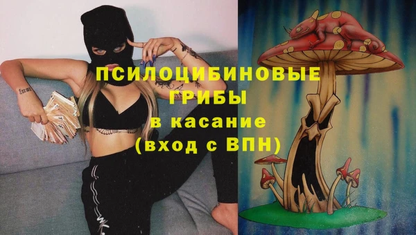 дживик Нея