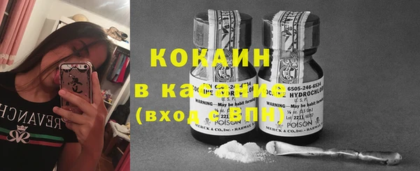 дживик Нея